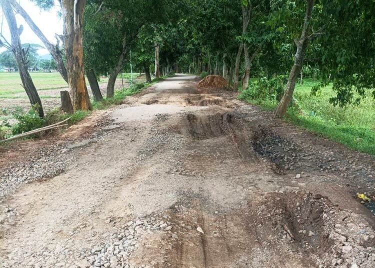 Groups demand restrictions on Bhutan trucks along Selsella-Balachanda