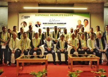 Now with clear majority will NPP dump allies?