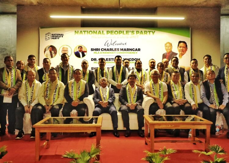 Now with clear majority will NPP dump allies?