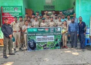 Forest staff of Assam trained on conservation of Hoolock Gibbon