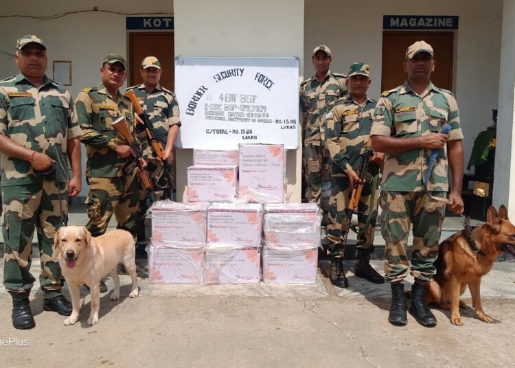 2 BSF operations lead to arrest of Bangladeshi & seizures