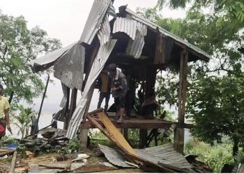 Elephants wreck crops & homes in SWKH