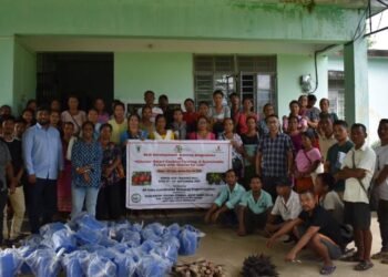 ‘Climate-smart’ cashew training provided to farmers