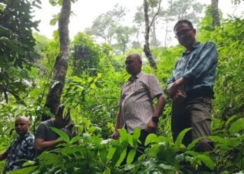 Ricky visits water source at centre of roadworks dispute