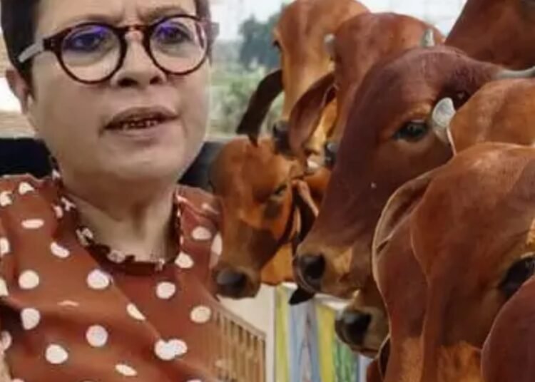 Don’t disturb our State: Ampareen to cow activists