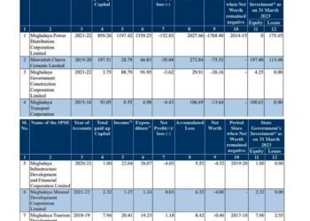 ‘Net loss of 7 state-owned companies erode public wealth’