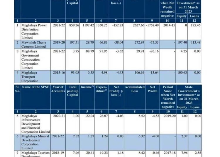 ‘Net loss of 7 state-owned companies erode public wealth’
