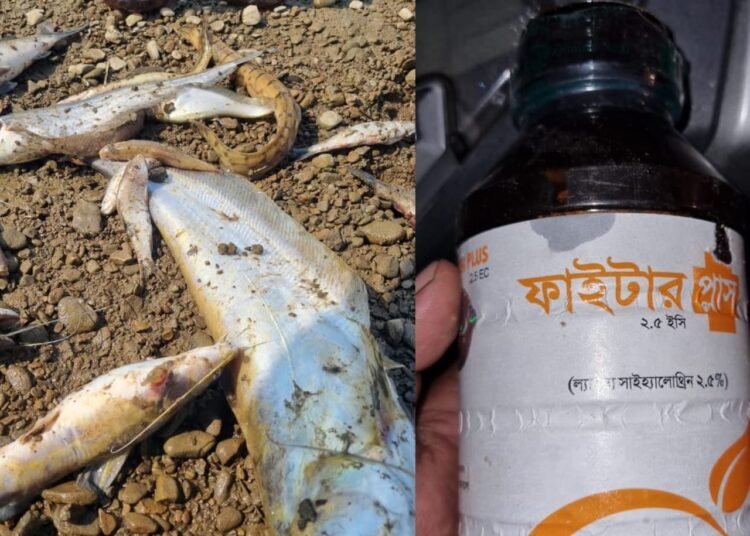 DC orders probe into death of fish in Umkiang river
