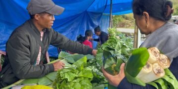 First farmers’ market launched in Ladmawphlang
