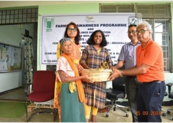 WGH farmers get ducklings