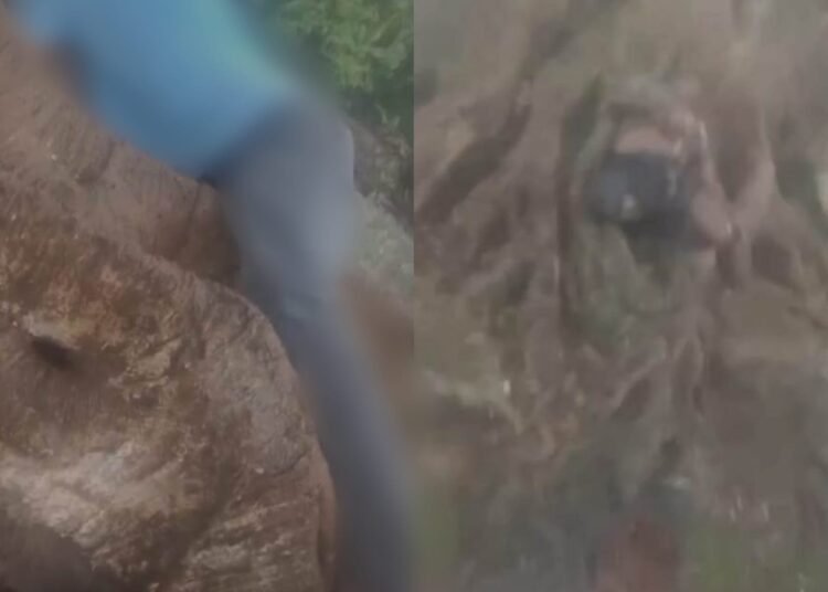 2 critical among 4 injured in lightning strike