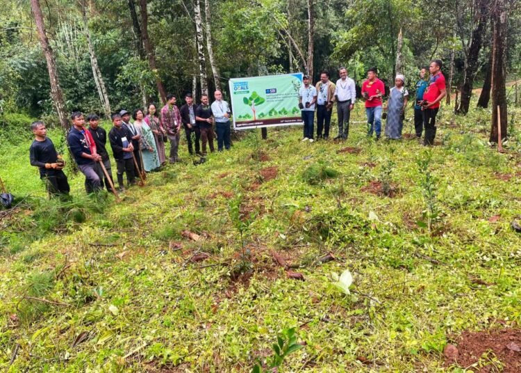 Over 4500 tree saplings planted at Umrynjah