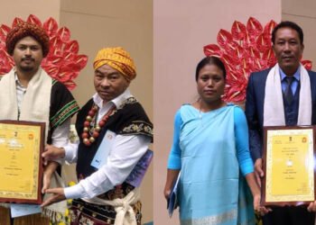 Paul hails double tourism award winners