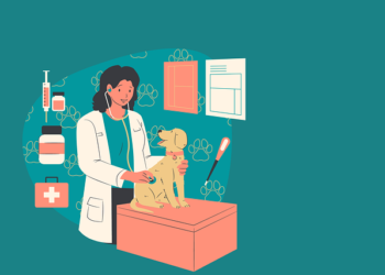 Veterinary hospital, college projects still at planning stage