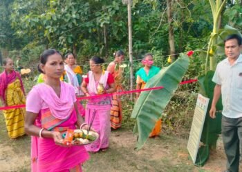 Solar-powered fence installed in villages to mitigate HEC