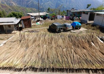 SWKH farmers desperate as produce prices crash