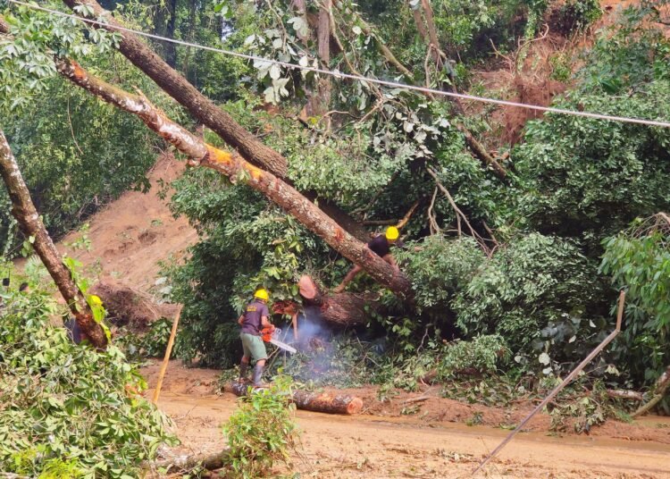 SDRF clear fallen trees, power lines
