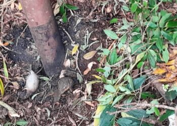 19 year-old boy electrocuted in Rangblang, negligence alleged