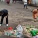 Cleaning drives held in honour of Gandhi Jayanti