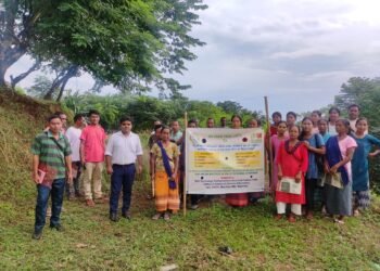 Tura college seeks to empower women & tribals through organic millet