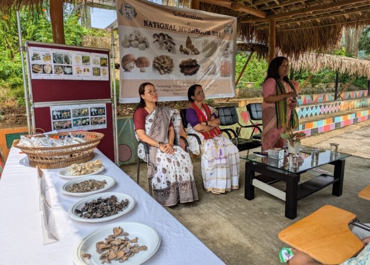 National Mushroom Day observed in Garo Hills