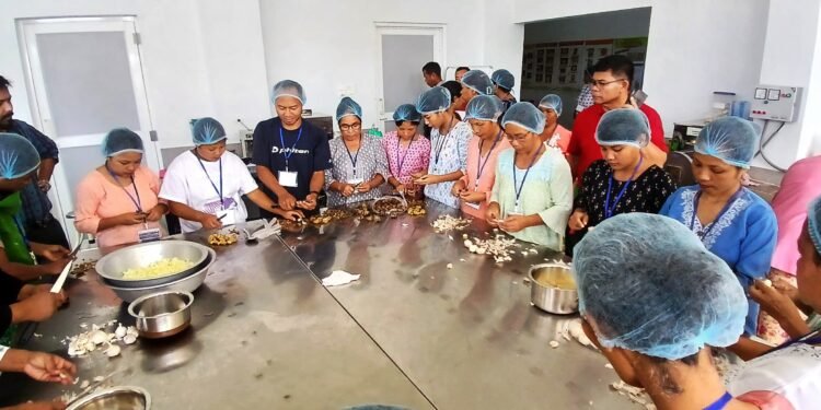 Skill training on food processing concludes in Tura