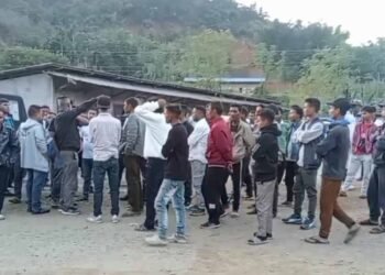 Trucks forced to halt at Killing weighbridge after HNYF inspection