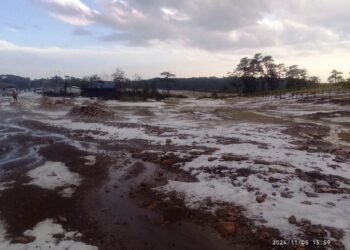 Hailstorm damage rice in State