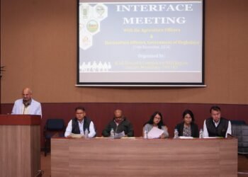 ICAR, Govt discuss citrus decline