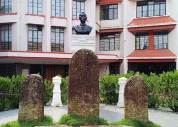 Pyniaid raises concern over idea to do away with district councils