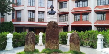 Pyniaid raises concern over idea to do away with district councils