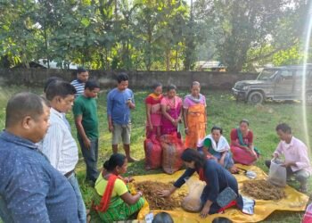Villagers beset by elephant problems get training in mushrooms
