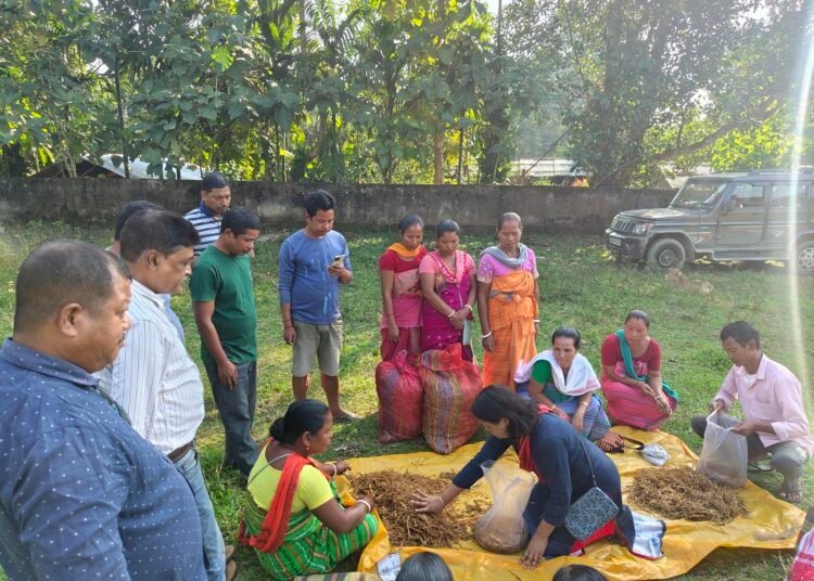 Villagers beset by elephant problems get training in mushrooms