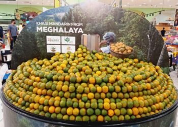 In first, 1MT of Khasi mandarins flown direct from Guwahati to Dubai