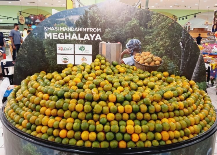 In first, 1MT of Khasi mandarins flown direct from Guwahati to Dubai