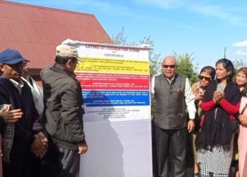 Sanbor lays foundation for various projects