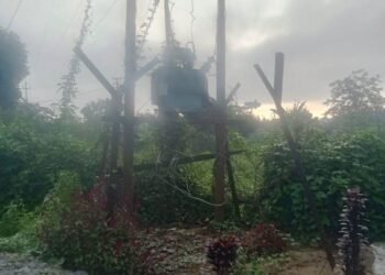 HITO seeks replacement of rusted electric poles, fencing of transformers