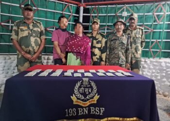 Woman picked up with thousands in fake currency