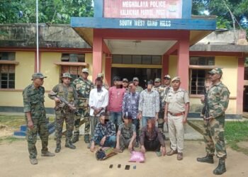 11 Bangladeshis, 3 Indians nabbed as illegal crossings foiled