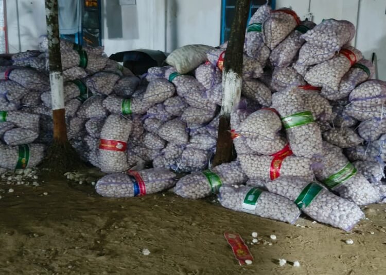 5 tonnes of garlic seized by BSF