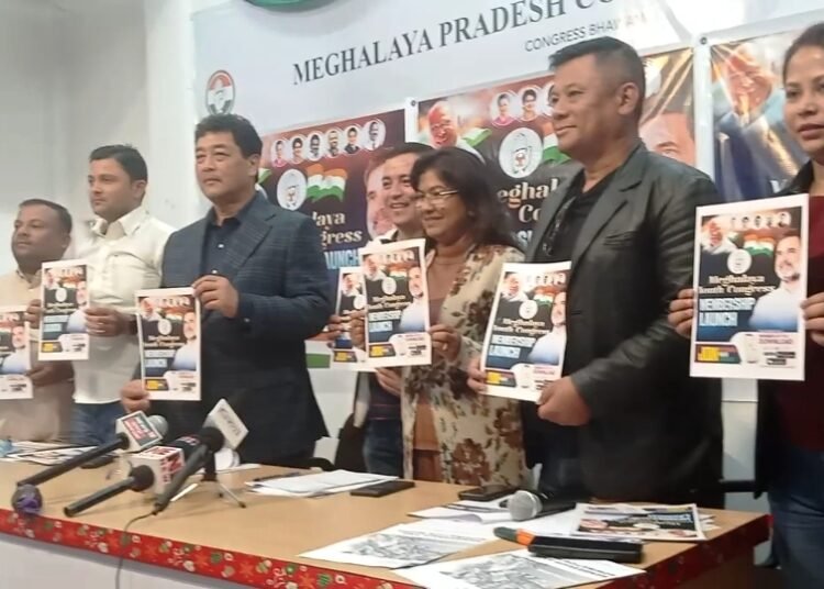 Meghalaya Youth Congress to reenergise base with state elections