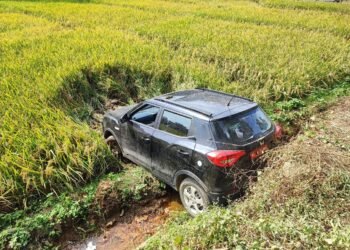 Man loses cool with wife drives into paddy field, another hurt