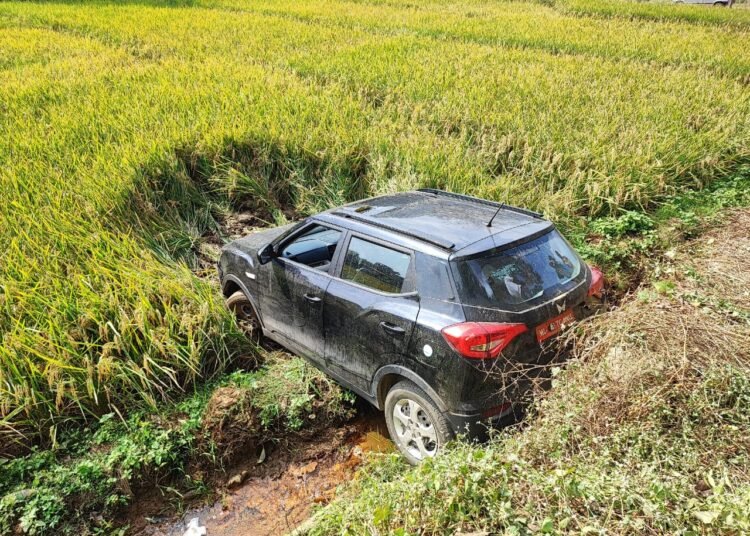 Man loses cool with wife drives into paddy field, another hurt