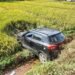 Man loses cool with wife drives into paddy field, another hurt