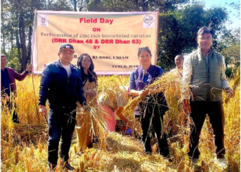 30 farmers attend field day in Mawbri