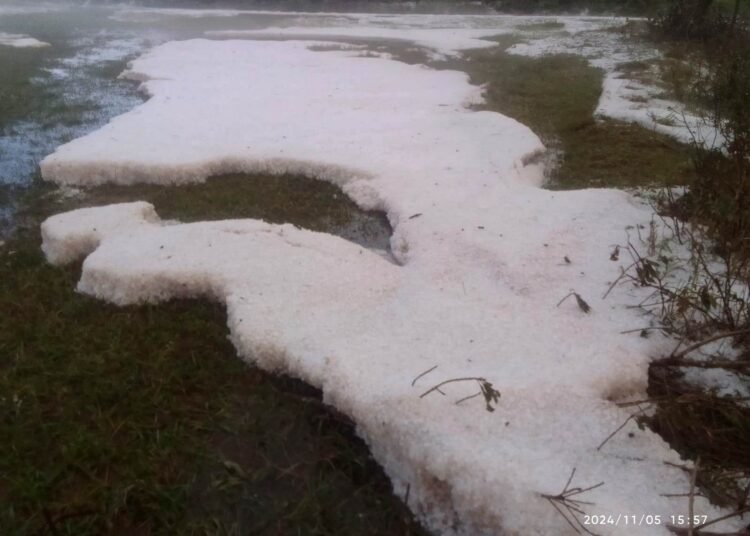 Hailstones damage harvest time paddy in West Jaiñtia Hills