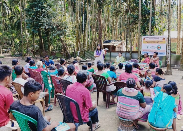 Training on winter veg held in Garo Hills