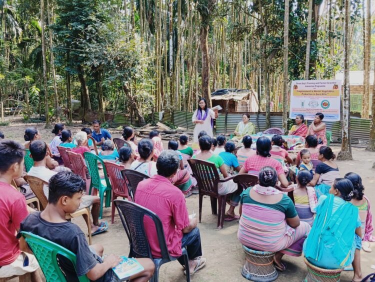 Training on winter veg held in Garo Hills