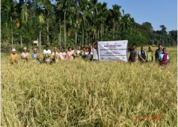 Paddy & poultry in focus for KVK WGH