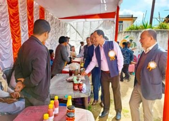 Horticulture exhibition held in Mawkyrwat